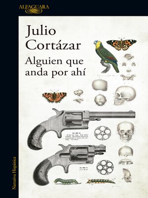 cover image of Alguien que anda por ahí